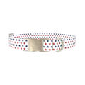 Patriotic Star Dog Collar - metal silver