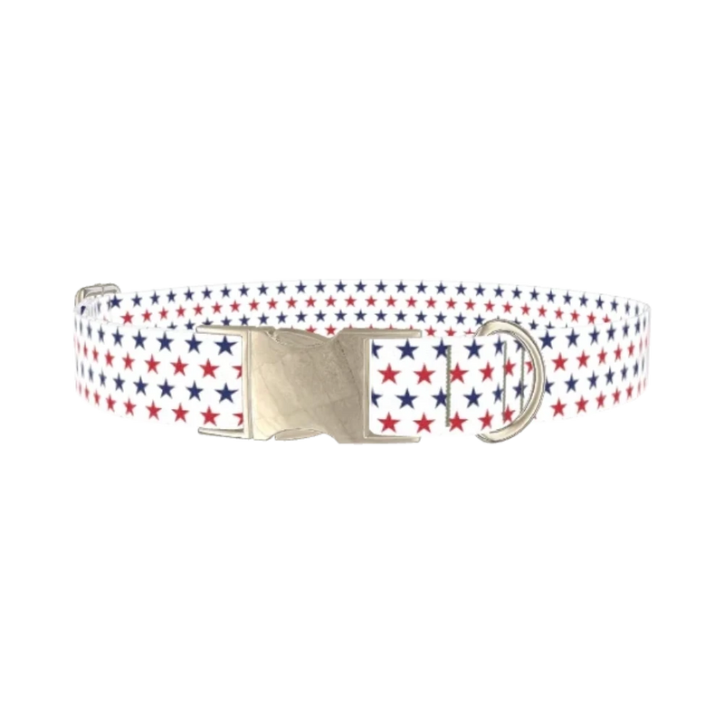 Patriotic Star Dog Collar - metal silver