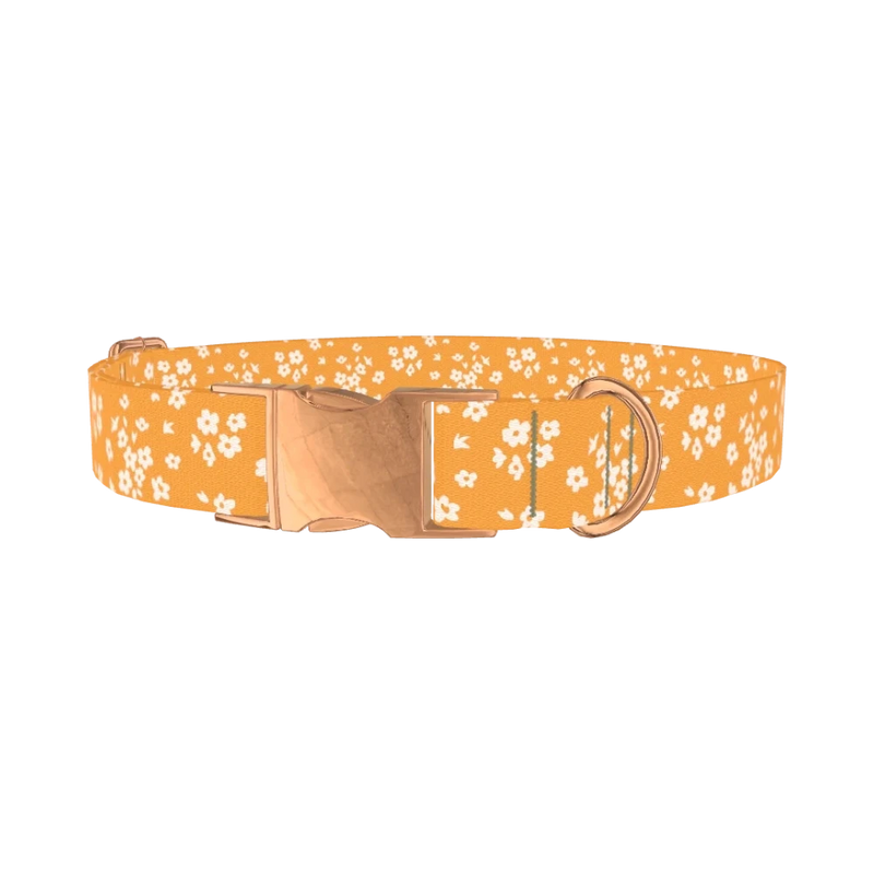 Yellow Blossom Dog Collar - metal rose gold