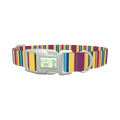 Yellow Purple Stripe Dog Collar - plastic silver