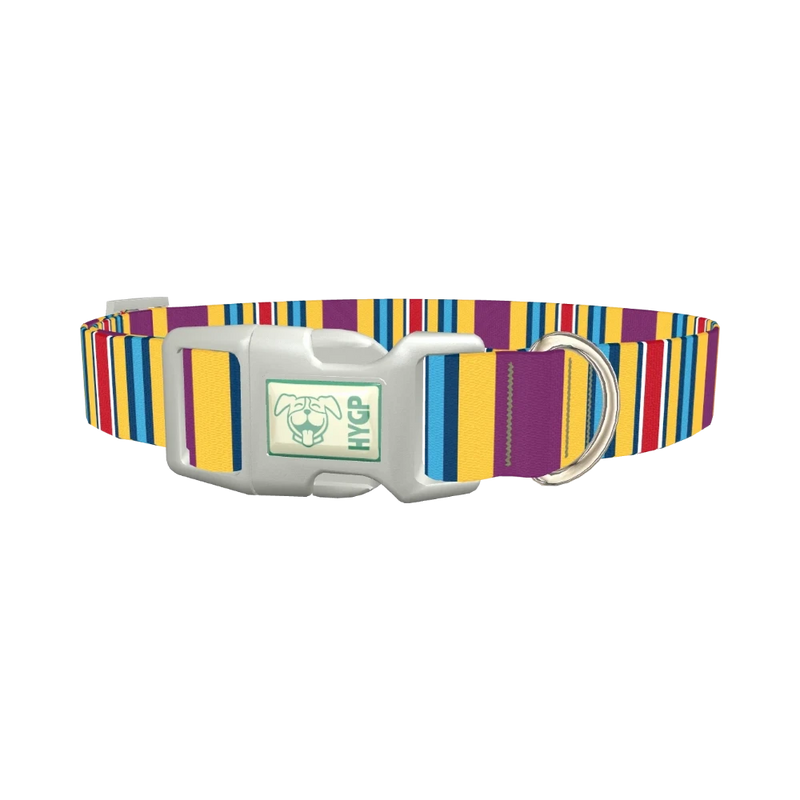 Yellow Purple Stripe Dog Collar - plastic silver