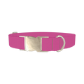 Crushed Berries Color Dog Collar - metal silver