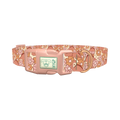 Floral Dinosaur Dog Collar - plastic rose gold