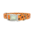 Halloween Witch Stripes Dog Collar - plastic rose gold