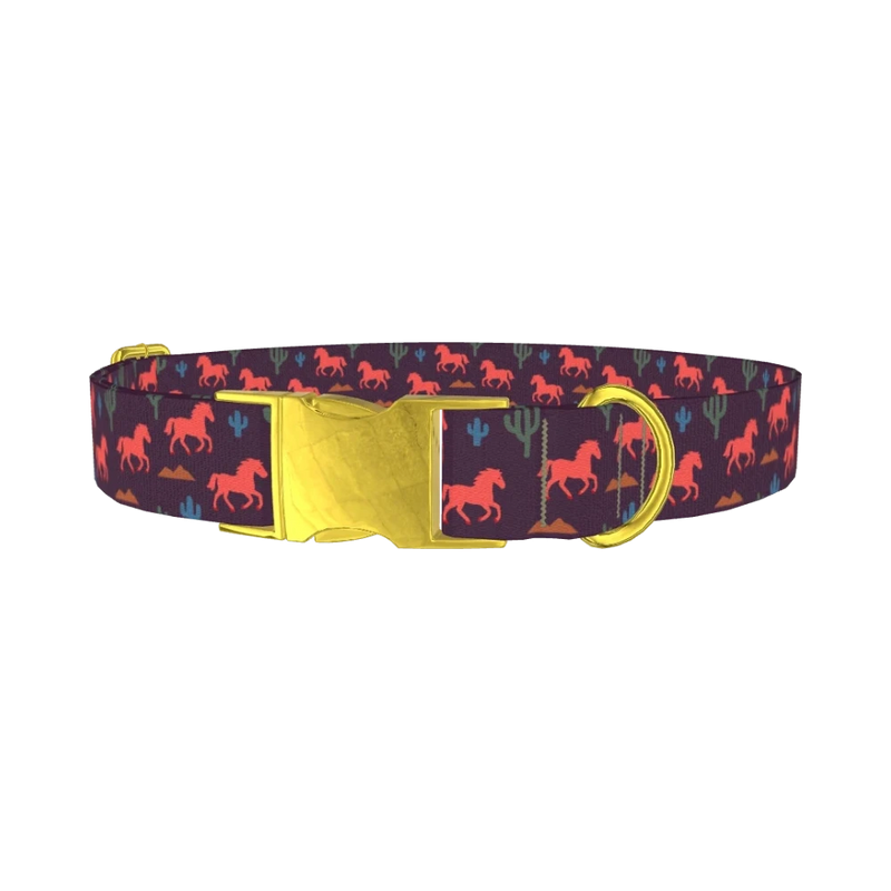 Western Desert Dog Collar - metal gold