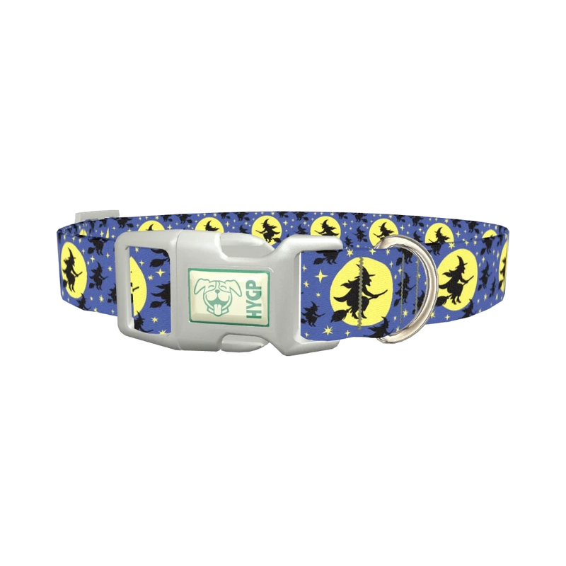 Halloween Witch Dog Collar - plastic silver