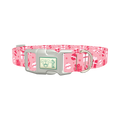 Christmas Gift Dog Collar - plastic silver