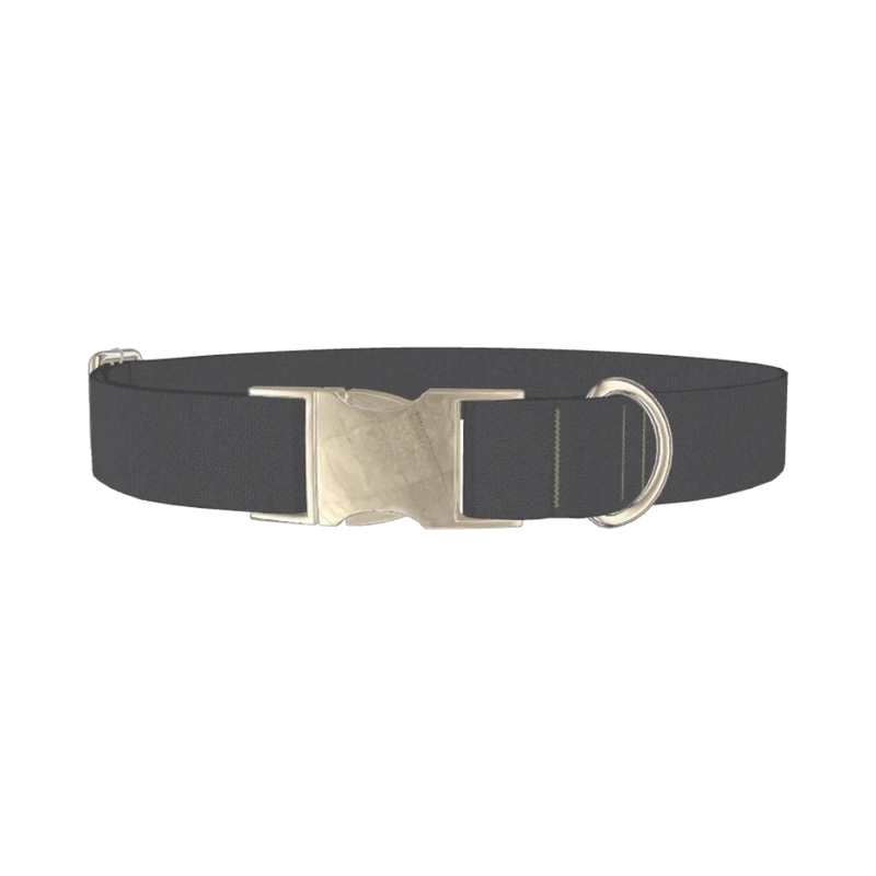 Dark Shadows Color Dog Collar - metal silver