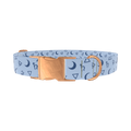 Astrology Symbols Dog Collar - metal silver