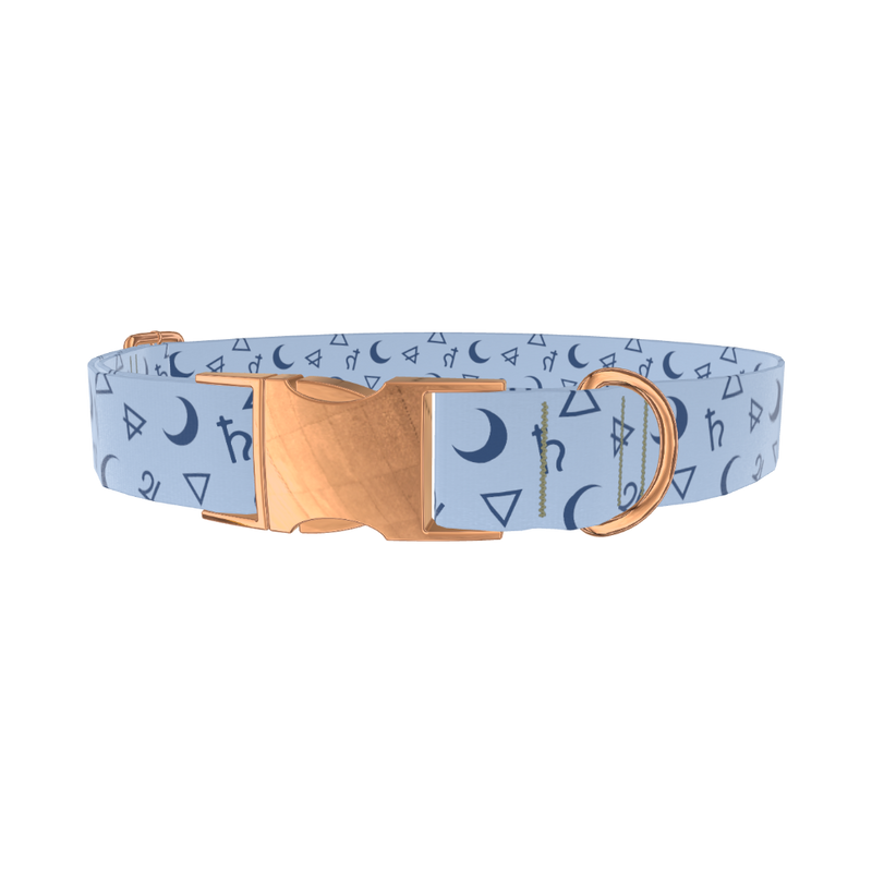 Astrology Symbols Dog Collar - metal silver
