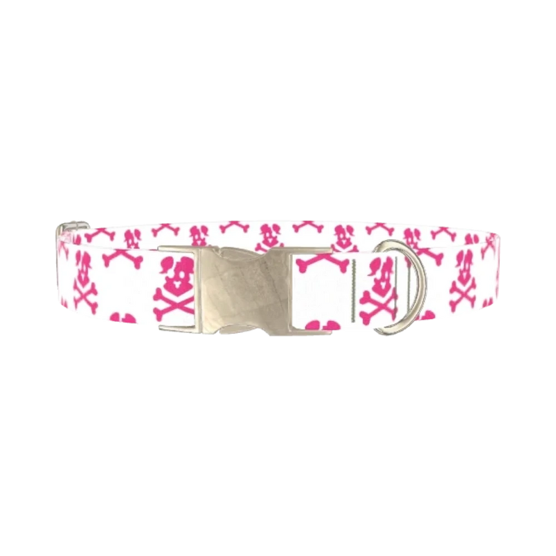 Pirate Dog Skull Dog Collar - metal silver
