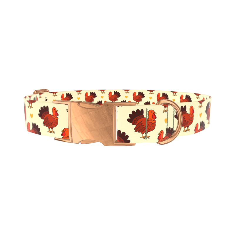 Turkey Heart Dog Collar - metal silver
