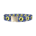 Halloween Witch Dog Collar - metal silver