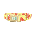 Citrus Fruit Dog Collar - plastic gold
