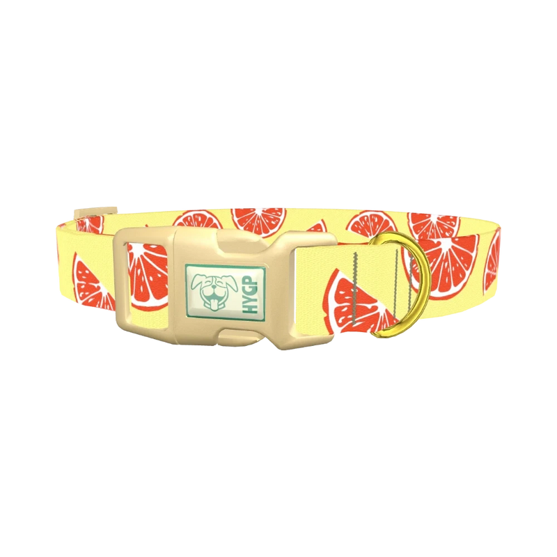 Citrus Fruit Dog Collar - plastic gold