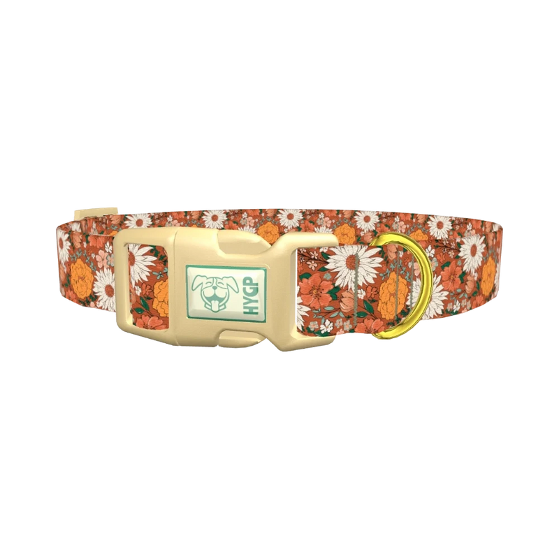 Autumn Floral Dog Collar - plastic gold