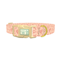 Holiday Western Cactus Dog Collar - plastic gold