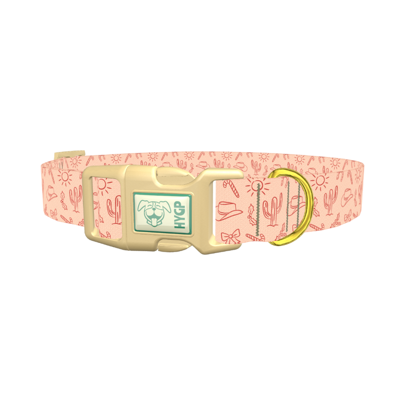 Holiday Western Cactus Dog Collar - plastic gold