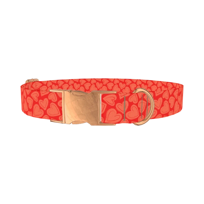 Red Sketch Heart Dog Collar - metal rose gold