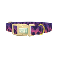 Tropical Sunset Dog Collar - plastic gold