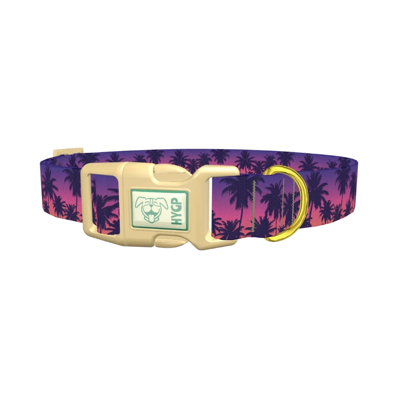 Tropical Sunset Dog Collar - plastic gold