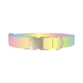 Pastel Gradient Dog Collar - metal silver