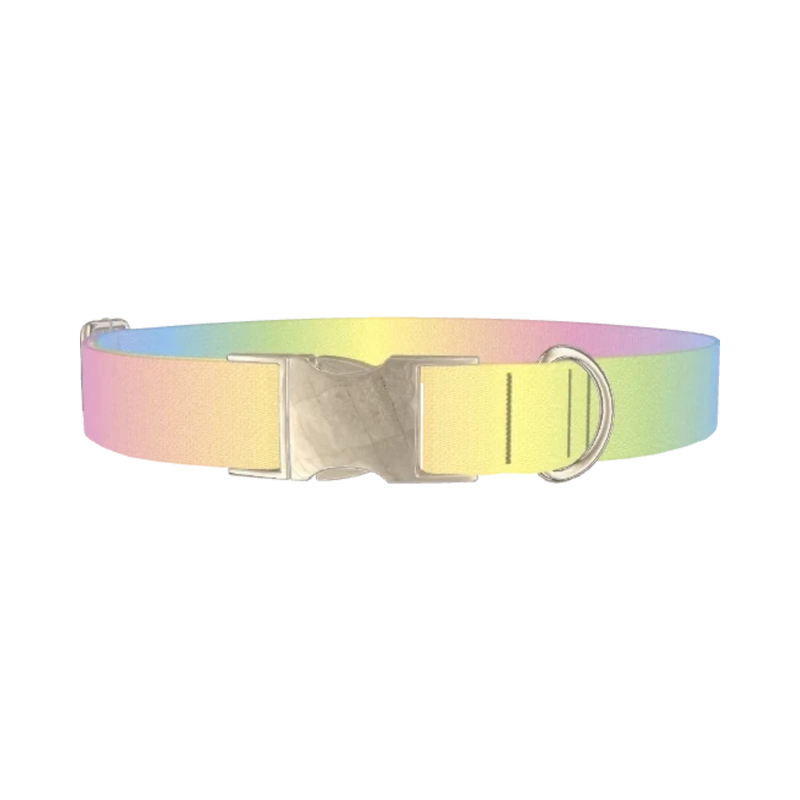 Pastel Gradient Dog Collar - metal silver
