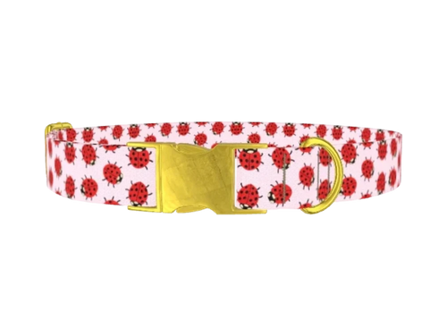 LADYBUGS_PINK