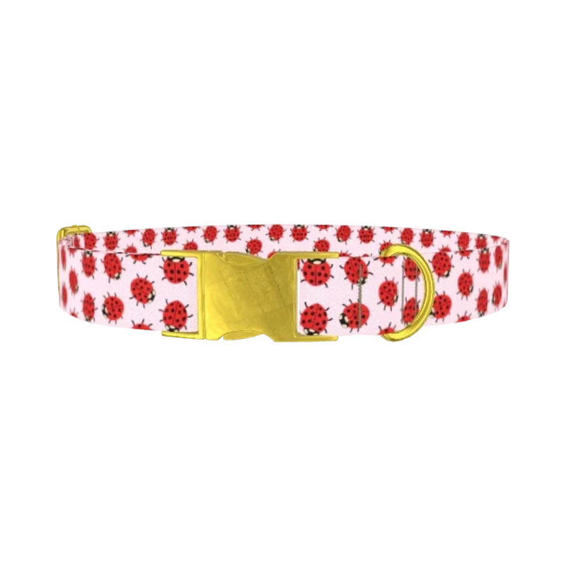 Ladybug Print Dog Collar - metal gold
