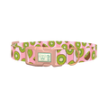 Pink Kiwi Pattern Dog Collar - plastic rose gold