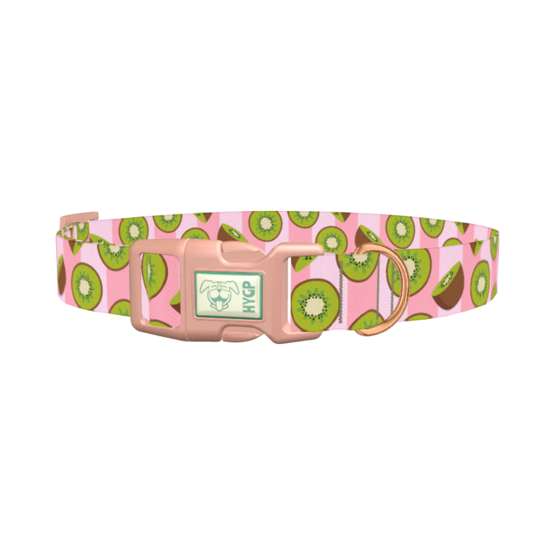 Pink Kiwi Pattern Dog Collar - plastic rose gold