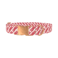 Bacon Pattern Dog Collar - metal rose gold