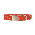 Festive Bows and Candy Canes Dog Collar - metal silver