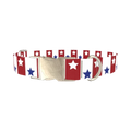 Bicolor Star Dog Collar - metal silver