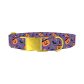 Halloween Witchy Pumpkin Dog Collar - metal gold