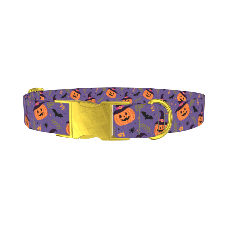 Halloween Witchy Pumpkin Dog Collar - metal gold