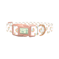 Rainbow Pattern Dog Collar - plastic rose gold
