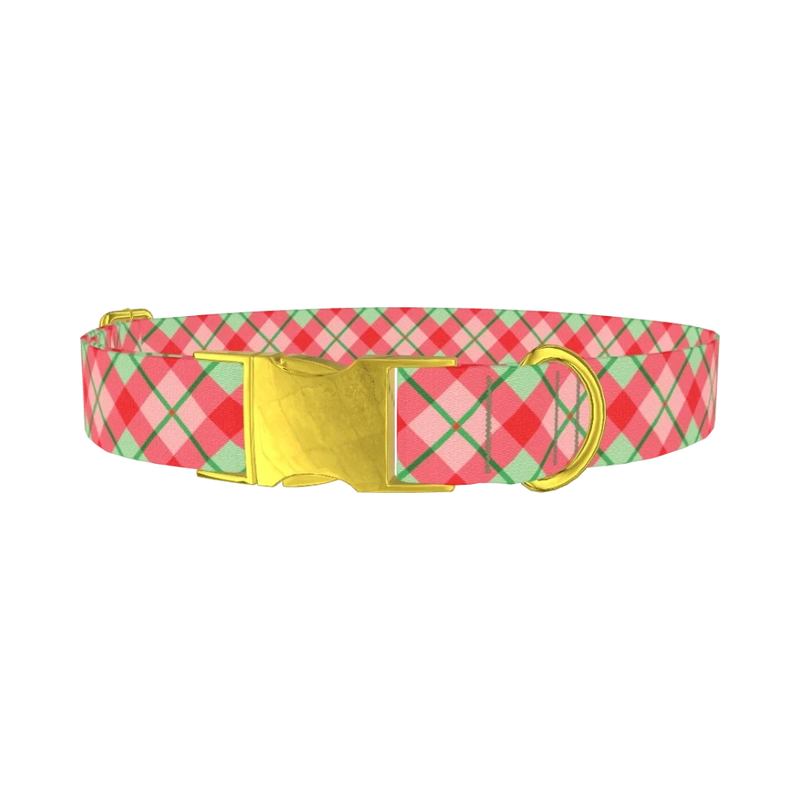 Festive Pink Plaid Dog Collar - metal gold