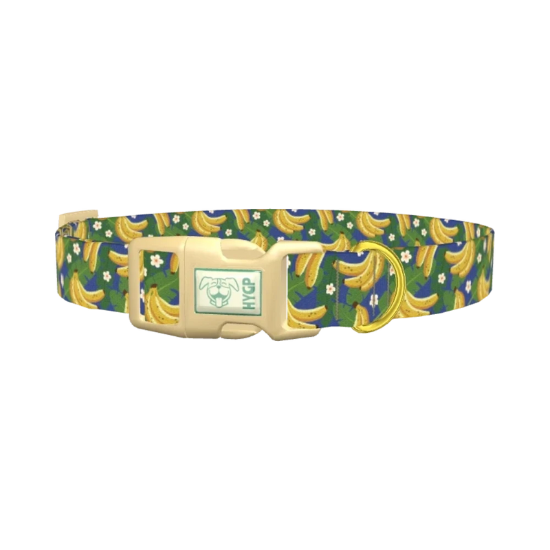 Tropical Banana Leaf Dog Collar - plastic gold