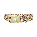  - plastic gold