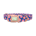 Blue Peppermint Swirl Dog Collar - plastic rose gold