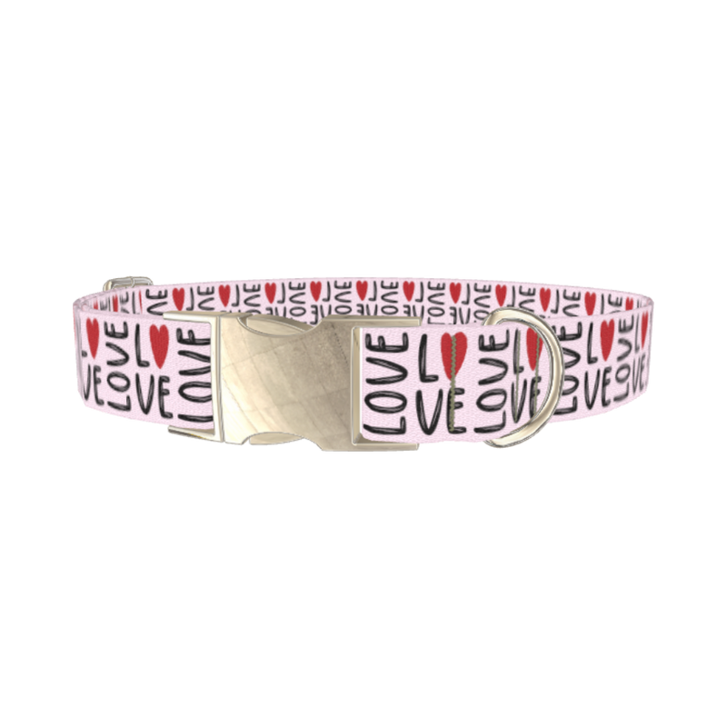 Love Heart Dog Collar - metal silver