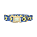 Halloween Witch Dog Collar - plastic silver