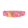 Western Holly Dog Collar - metal rose gold