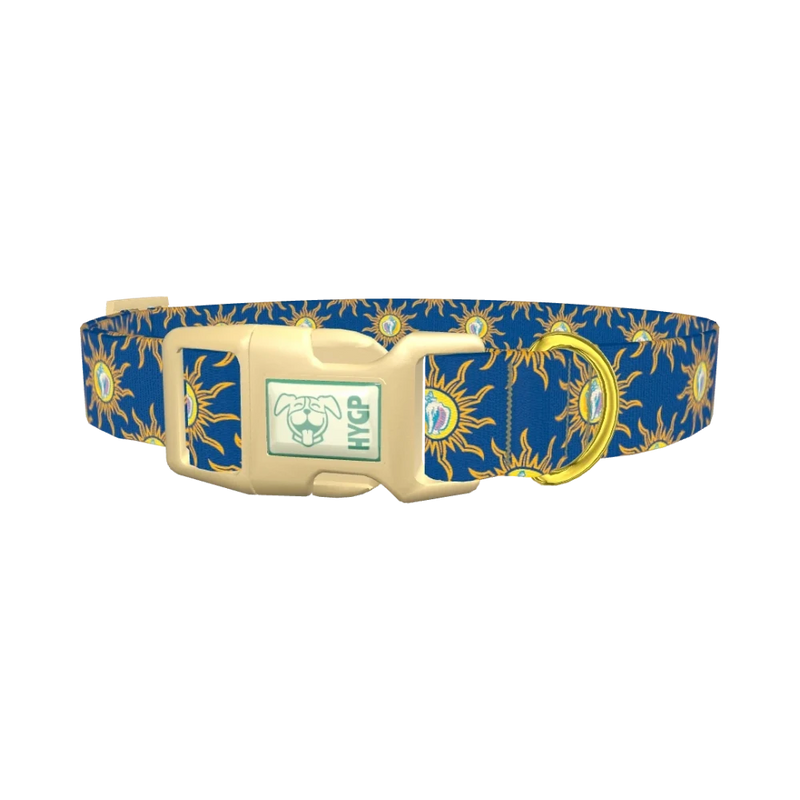 Conch Shell Sunburst Dog Collar - plastic gold