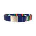 Woven Rainbow Stripe Dog Collar - metal gold