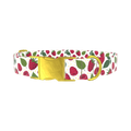 Raspberry Fruit Dog Collar - metal gold