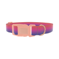 Gradient Pink Blue Dog Collar - plastic rose gold
