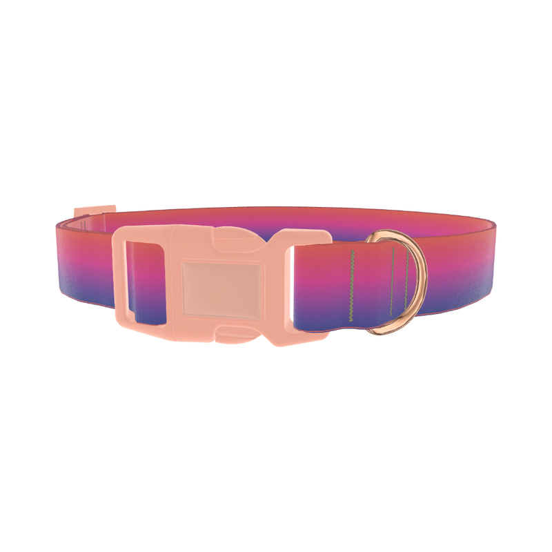 Gradient Pink Blue Dog Collar - plastic rose gold