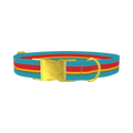 Turquoise Red Stripe Dog Collar - metal gold